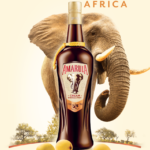 O lançamento do licor Amarula e a preservação dos elefantes