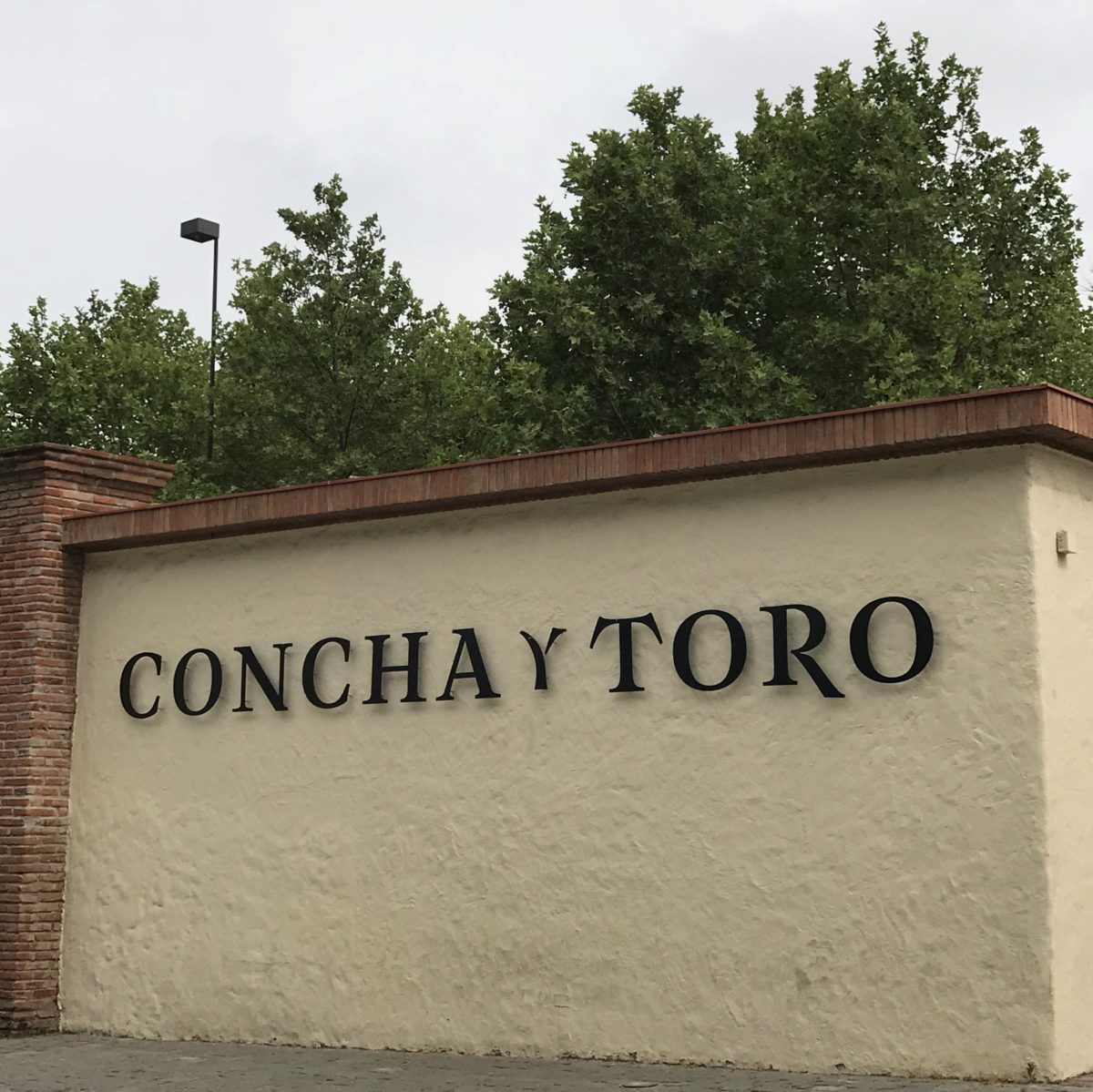 Um tour pela vinícola Concha y Toro
