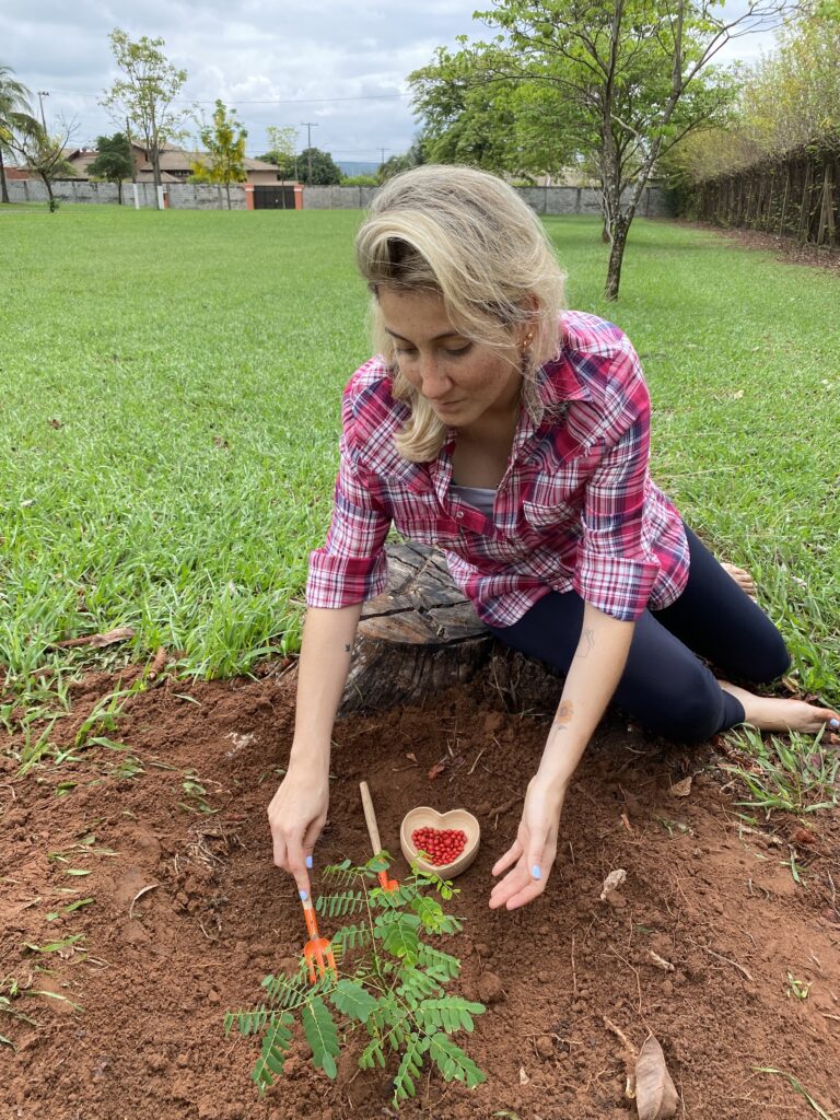 Plantamos um pau-brasil no sítio!