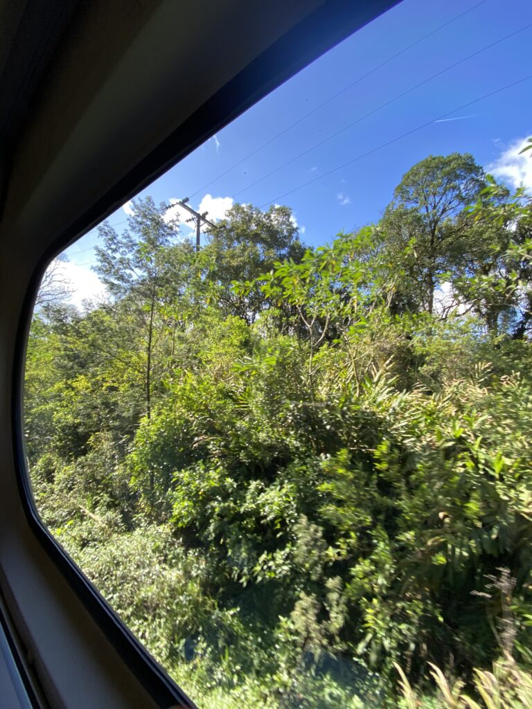 Uma aventura de trem pelo Paraná