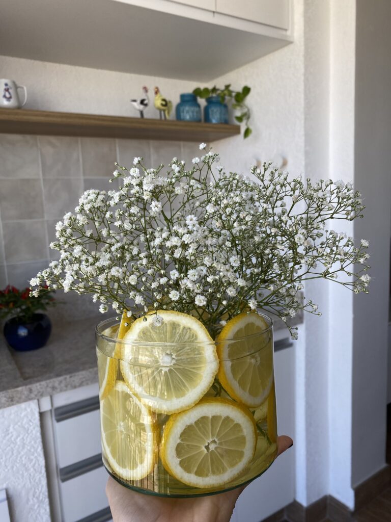 Vaso de limão e flor