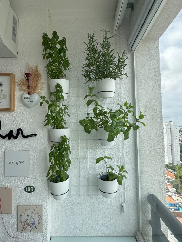 Como cultivar horta em apartamento