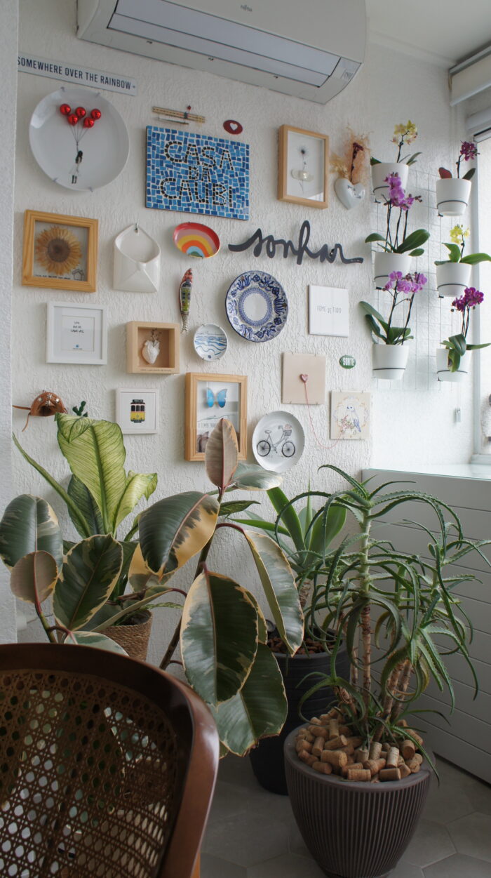 Dicas para cuidar de orquídea em casa