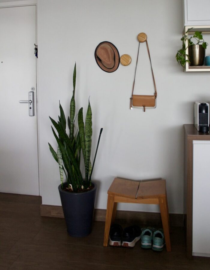 5 Motivos para ter a Espada de São Jorge na entrada de casa