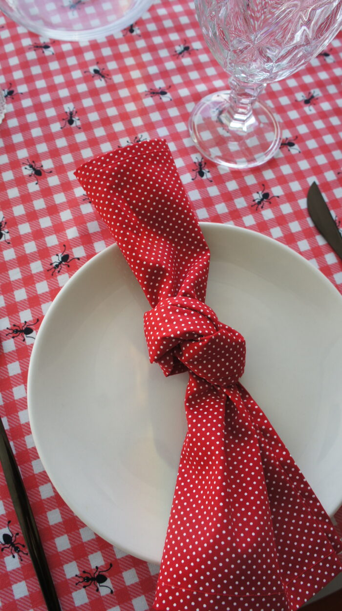 Uma mesa de piquenique em casa